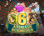 Burmese 6 Animals